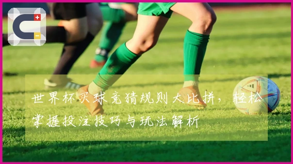 世界杯买球竞猜规则大比拼，轻松掌握投注技巧与玩法解析