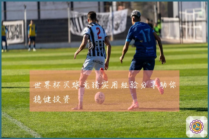 世界杯买球竞猜实用经验分享助你稳健投资